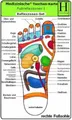 Reflexzonen Set - Medizinische Taschen-Karte: Fussreflexzonen Therapie Fusssohle, Fussrücken + Aussenseiten /Handreflexzonen Therapie: Fussreflexzonen ... Fussrücken + Seiten, Handreflexzonen Therapie