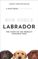 Labrador: Die Geschichte Des Beliebtesten Hundes Der Welt Taschenbuch Ben Fo