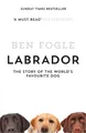 Ben Fogle Labrador (Taschenbuch)