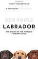 Labrador: The Story of the Worlds Favourite Dog  ... | Buch | Zustand akzeptabel