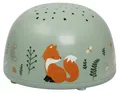 A Little Lovely Company Projector Light Forest Friends -