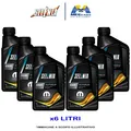 Selenia Multipower Gas 5W40 Motoröl Mopar GPL Methan Acea C3 API SP 6 Liter