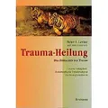 Trauma-Heilung von Peter A. Levine / Synthesis Verlag / Taschenbuch