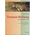 Trauma-Heilung Das Erwachen des Tigers. Unsere Fähigkeit, traumatische Erfahrungen zu transformieren