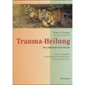 Trauma-Heilung