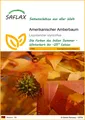 SAFLAX  - Amerikanischer Amberbaum - Liquidamber - 100 Samen
