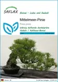 SAFLAX Blumensamen SAFLAX - Samen - Mittelmeer-Pinie