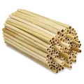 BEESI 1000x Naturbelassen Niströhren für Wildbienen aus Schilf 14 cm lang I Durchmesser 3-7 mm inkl. E-Book I Nisthülsen für Insektenhotel