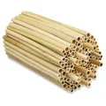 BEESI 1000x Niströhren für Wildbienen aus Schilf 14 cm lang I Durchmesser 3-7 mm inkl. E-Book I Nisthülsen für Insektenhotel I Bienenhotel Röhrchen I Insektenhotel Füllmaterial (Naturschilf, 1000)