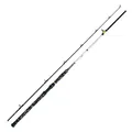 WFT Catbuster Spin 20-210g 2,70m