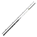 WFT Catbuster Spin 2,70m 20-210g Welsrute