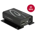 DELOCK Displayport 1.2 Switch 2 x Displayport in > 1 x Displayport out 4K 87697