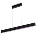 Philips-Hue Pendelleuchte Ensis, mit LED, 130 cm, 79 Watt / 5500 Lumen, App-fähig, aus Metall, schwarz