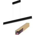 Philips Hue LED-Pendelleuchte Ensis White & Color Ambiance Schwarz