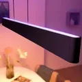 130cm Philips Hue Ensis Pendelleuchte Schwarz White & Color Ambiance mit Light-Duo-Effekt für indiv.Steuerung Ober- und Unterlicht