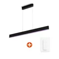 Philips Hue White & Color Ambiance Ensis Pendelleuchte sw, inkl. Dimmschalter V2