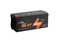 LiTime 36V 60Ah Golf Cart LiFePO4 Batterie PV Stromspeicher Solarakkus (36 V)