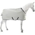 Bucas Power Turnout Light Classic 0g - silver, 115