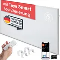 Heidenfeld Infrarotheizung HF-HP140, 3in1 Steuerung, Kindersicherung (300 Watt)