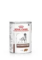 Royal Canin Veterinary Gastrointestinal Mousse | 12 x 400 g | Diät-Alleinfuttermittel für ausgewachsene Hunde | Zur Unterstützung bei akuten Resorptionsstörungen des Darms