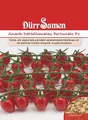 Datteltomaten Samen Rote Snack Tomate Fortunato Tomatensamen ca 6 Korn Ertragreich Saatgut Garten Hochbeet Kübel Dürr Samen