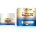 Eveline bioHYALURON 3xRetinol System 60+ Restorative Cream