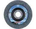 Fächerscheibe PFR PFERD Ø 125x22,23 mm 1 Stück