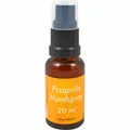PROPOLIS MUNDSPRAY 20 ml PZN03933838