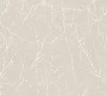 AS Vliestapete Terra Floral beige 305074