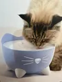 Catit PIXI  Katzentrinkbrunnen mit ca. 2,5L Volumen  Farbe Blau