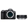 Canon EOS R6 Mark II + Objektivadapter (mit Steuerungsring)