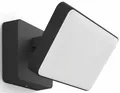 Philips Hue LED Flutlichtstrahler White & Color Ambiance Discover Flutlicht schwarz, Abschaltautomatik, Bluetooth, CCT - über Fernbedienung, Dimmfunktion, Farbsteuerung, Farbwechsel, Leuchtdauer einstellbar, Memoryfunktion, Nachtlichtfunktion, RGB, Smart Home, Timerfunktion, dimmbar über Fernbedienung, erweiterbar, mehrere Helligkeitsstufen, LED fest integriert, RGB, Outdoor