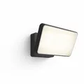 Philips Hue White & Color Amb. Discover LED Flutlicht, Schwarz, 2300lm