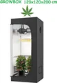 JUNG Growbox Growzelt Indoor 120x120x200cm Premium Mylar 97% reflektierend, Hydroponisches System, Gewächshaus Cannabis Balkon, Wasserdicht, Grow Tent