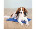 TRIXIE Tierbett Kühlmatte - blau/grau - 65 × 50 cm