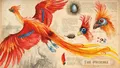 Harry Potter 2 and the Chamber of Secrets. Illustrated Edition by J. K. Rowling