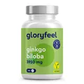 Ginkgo Biloba - 365 Tabletten im 50:1 Extrakt - Hochdosiert für 1 Jahr Vorrat