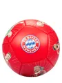FC Bayern München Fußball