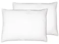 ZOLLNER 2er Set Kopfkissen - Made in Germany – Polyesterfüllung - Bezug aus hochwertigem Polyester - waschbar bis 60°C - 50x70 cm - Hotelqualität - Oeko Tex® Zertifiziert