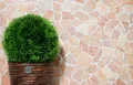 Marmor Rosso Verona Fliesen Bruch Mosaikfliese Natursteinplatten Dekor