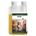 Glücklicher Hund im Herbst – Stärkung für Immunsystem & Fellwechsel
