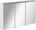 FACKELMANN LED Spiegelschrank DENVER / Badschrank mit gedämpften Scharnieren / Maße (B x H x T): ca. 110 x 68,5 x 16 cm / hochwertiger Schrank mit Spiegel und Beleuchtung fürs Bad / Korpus: Weiß