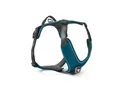 Wolters Active Pro Comfort Hundegeschirr anthrazit / petrol XXS