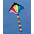 Ecoline 102145 - Ecoline: Simple Flyer Rainbow, 75x120cm, Drachen/Kinderdrachen