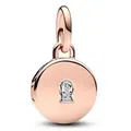 Pandora Charm Medaillon ROSE-783066C01