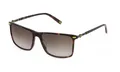 Fila SFI447 0C10 AVANA LUCIDA 57/16/145 Herren Sonnenbrillen