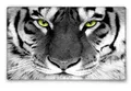 Silent Monsters Gaming und Office Mauspad 24 x 20cm Mousepad Tiger Raubtier Löwe