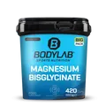 BIG PACK Magnesium Bisglycinate (420 Kapseln)