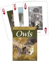 Owls Playing Cards (Nature's Wild Cards)