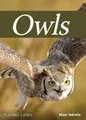 Stan Tekiela Owls Playing Cards (Cards) Nature's Wild Cards